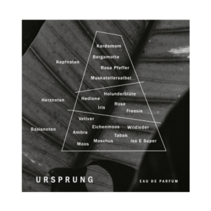 OAK Duftpyramide Ursprung