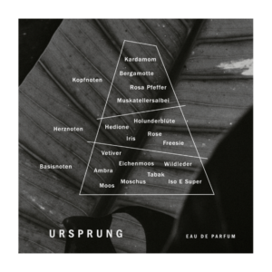 OAK Duftpyramide Ursprung