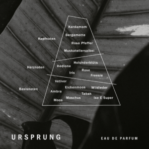 Ursprung Duftphasen Eau de Parfum